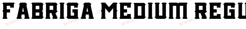 Fabriga Medium Regul字体转换 Fabriga Medium Regul字体转换